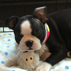 Meet your Posher, Mandy